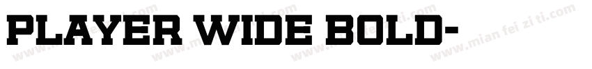 Player Wide Bold字体转换